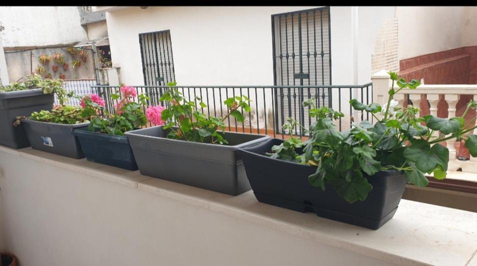Apartamento Brianna Jerez de la Frontera Eksteriør billede